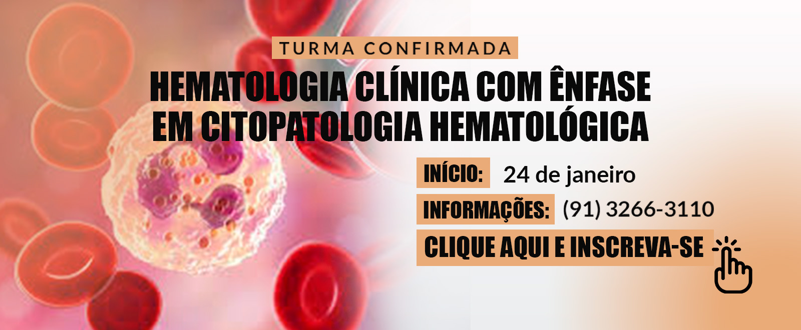 Hematologia