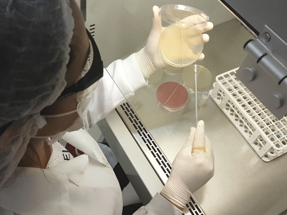 biomedicina-03.jpg