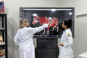 Medicina Veterinária